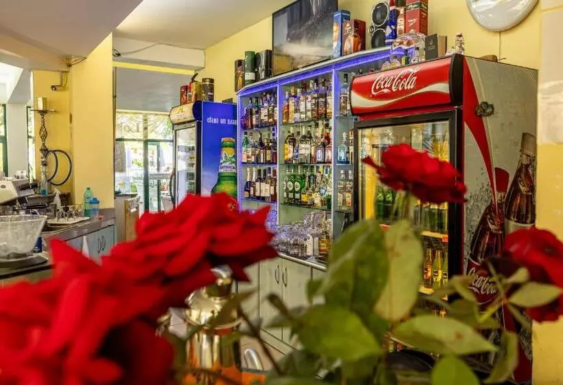 Fotos del hotel Hotel Slavyanski:  24