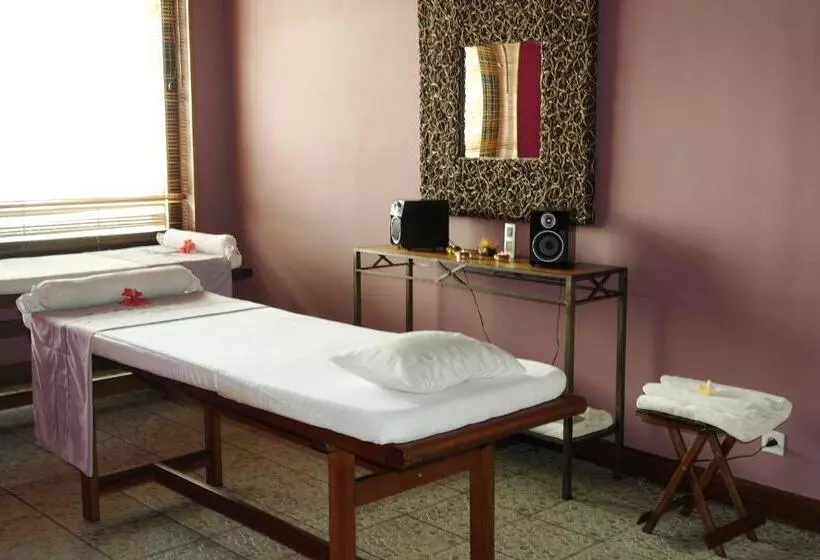 Fotos del hotel Hôtel & Spa Palissandre:  21