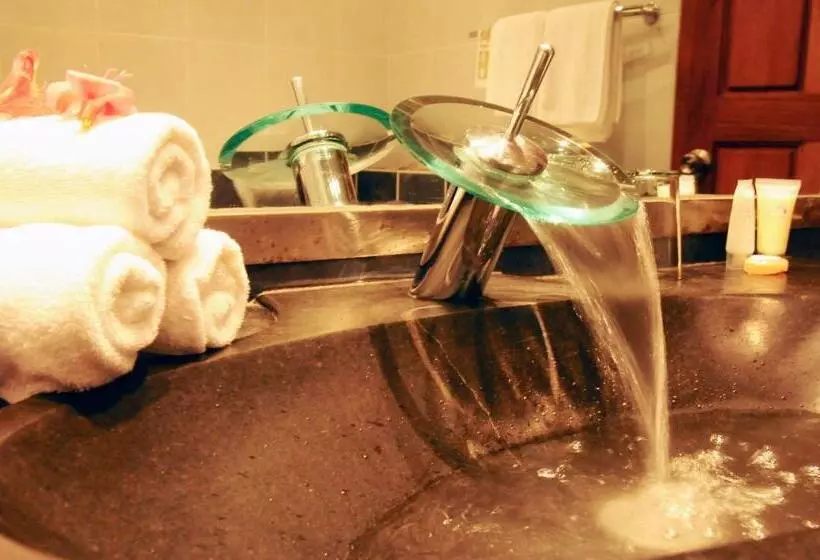 Fotos del hotel Hôtel & Spa Palissandre:  16