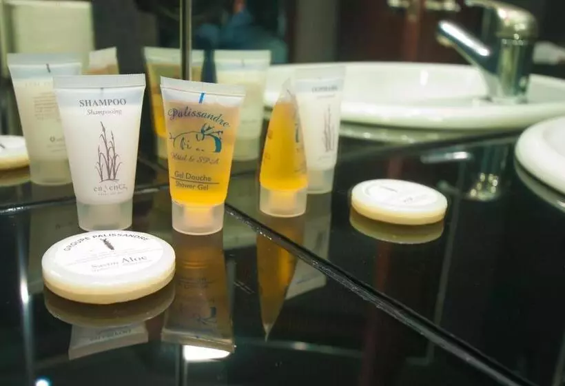 Fotos del hotel Hôtel & Spa Palissandre:  9