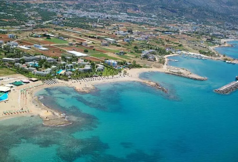 Fotos del hotel Triton:  7