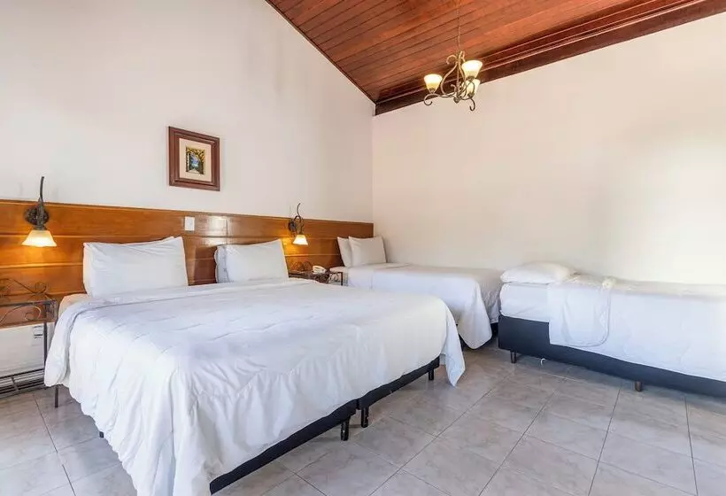 Fotos del hotel Ilha Branca Inn:  10