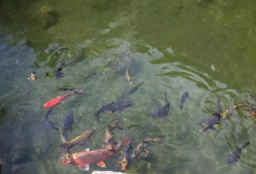 Fotos del hotel Kukurutz Residencia:  12