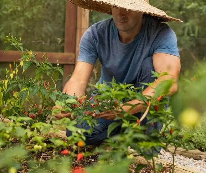 Fotos del hotel Ponta Dos Ganchos Exclusive Resort:  5