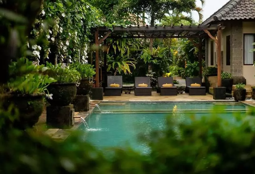 Fotos del hotel Barong Resort And Spa:  9