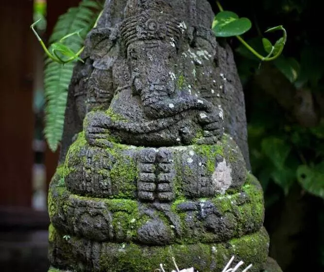 Fotos del hotel Barong Resort And Spa:  7