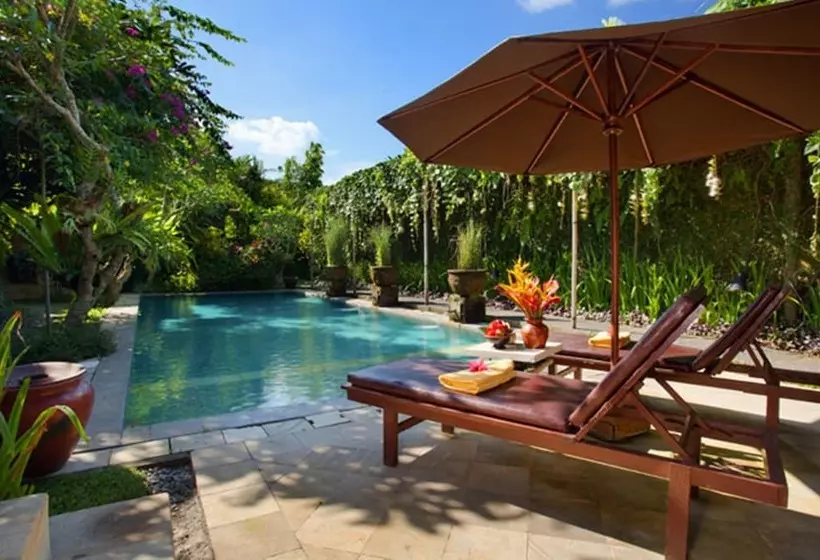 Fotos del hotel Barong Resort And Spa:  24