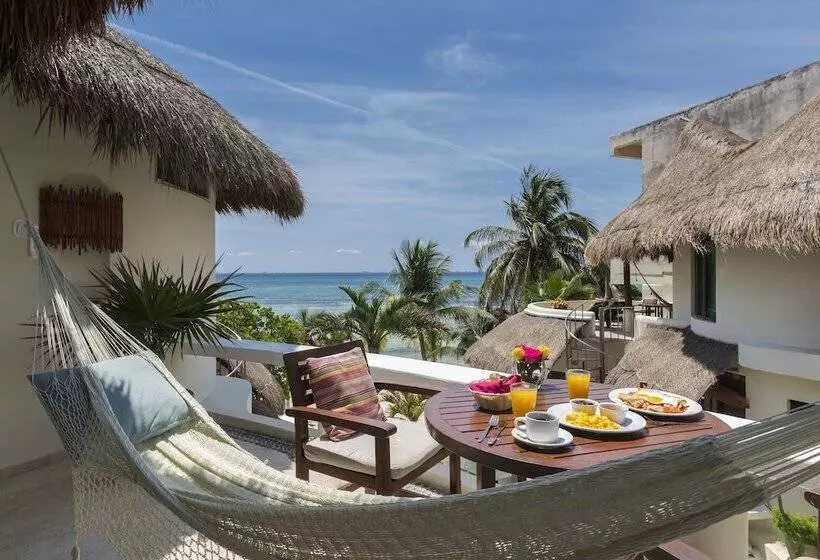 Fotos del hotel Playa Palms Beach:  4