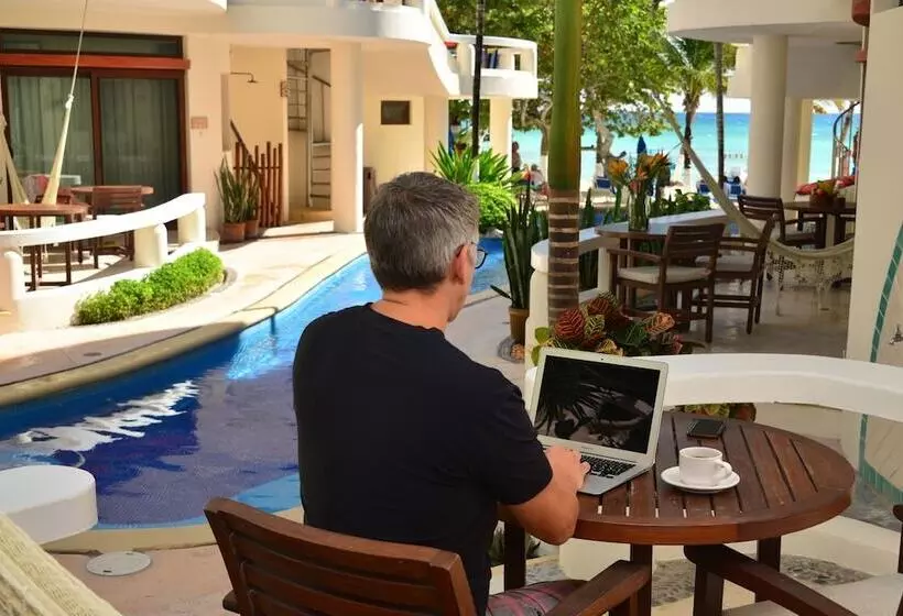 Fotos del hotel Playa Palms Beach:  18