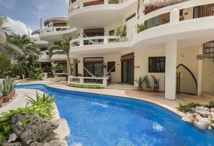 Fotos del hotel Playa Palms Beach:  12