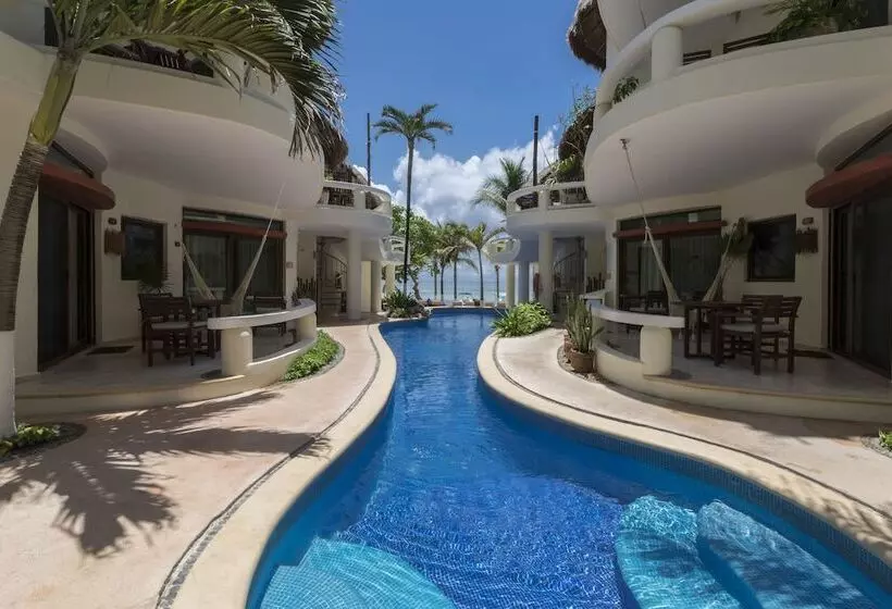 Fotos del hotel Playa Palms Beach:  8