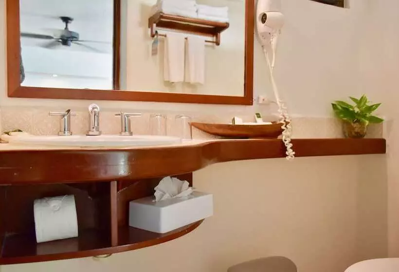 Fotos del hotel Playa Palms Beach:  20