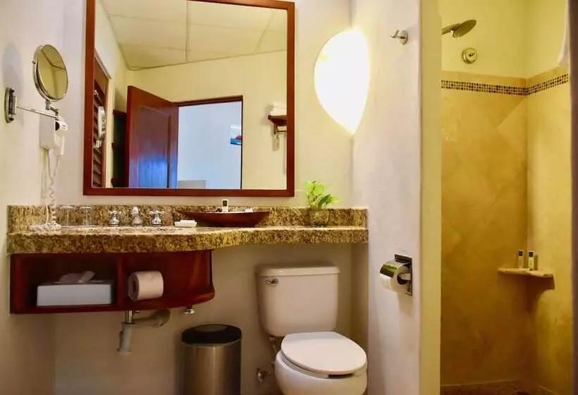 Fotos del hotel Playa Palms Beach:  5