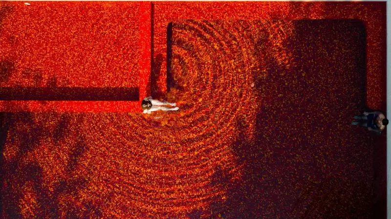 Fotos del hotel The Library:  4