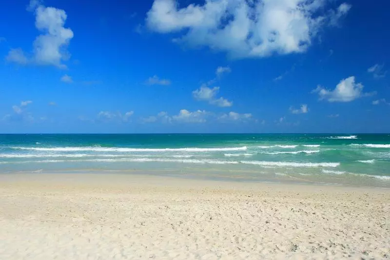 Fotos del hotel The Library:  5