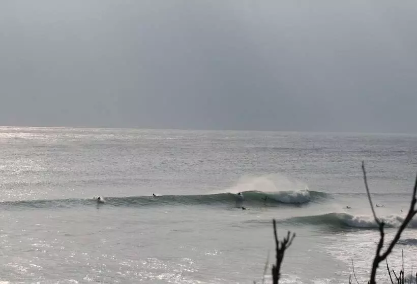 Fotos del hotel Donghe Taitung Surf Shop & Hostel:  21