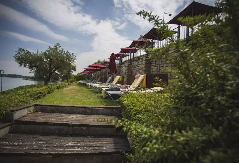 Fotos del hotel Acquaviva Del Garda:  7