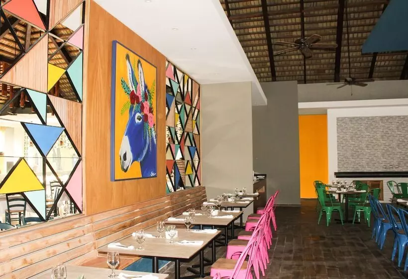 Fotos del hotel Casa Marina Beach And Reef:  19