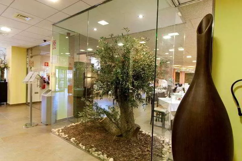 Fotos del hotel Nubahotel Vielha:  4