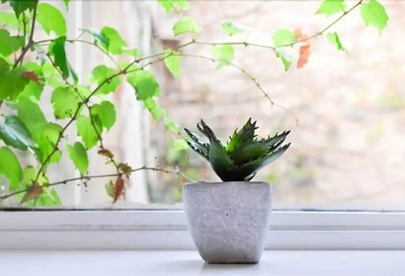 Fotos del hotel Maitre Hotel Boutique:  6