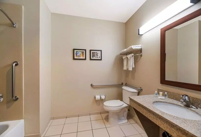 Fotos del hotel Comfort Inn & Suites Las Vegas - Nellis:  7