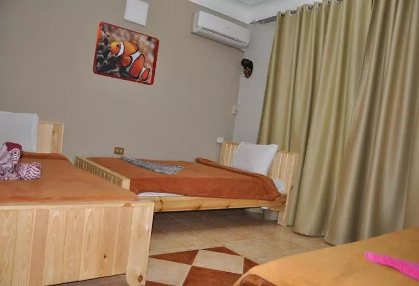 Fotos del hotel Dahab Plaza:  18