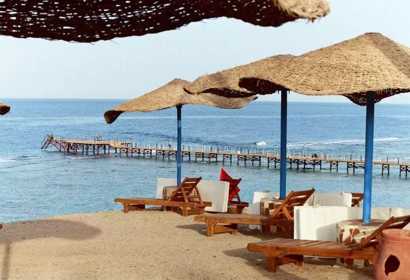 Fotos del hotel Solymar Reef Marsa:  5