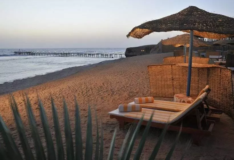 Fotos del hotel Solymar Reef Marsa:  15