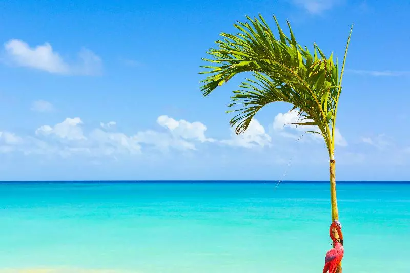 Fotos del hotel Kaz Kreol Beach:  23