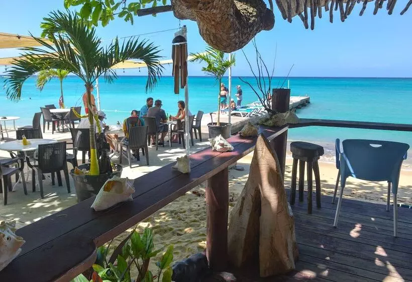 Fotos del hotel Kaz Kreol Beach:  11