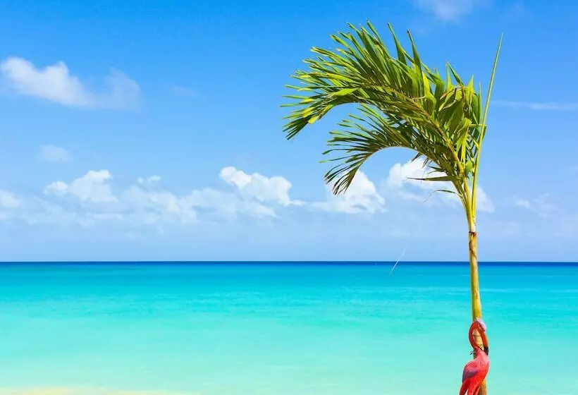 Fotos del hotel Kaz Kreol Beach:  19