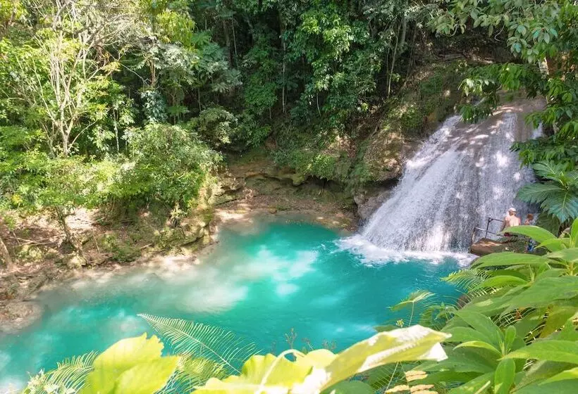 Fotos del hotel Kaz Kreol Beach:  24