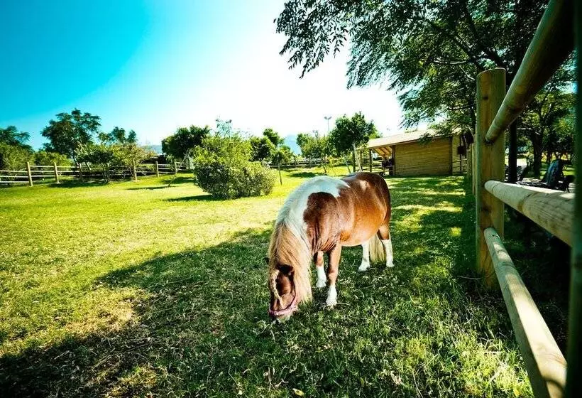 Fotos del hotel Merit Park  Casino & Spa:  18