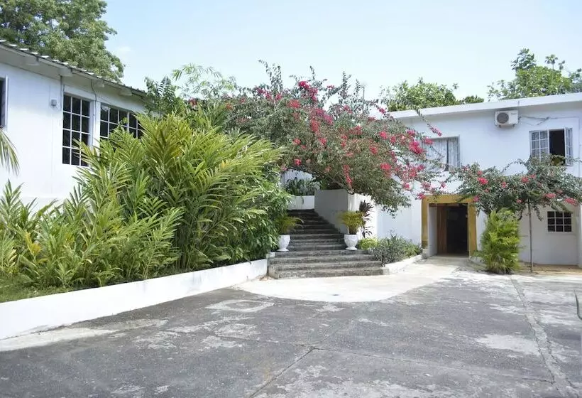 Fotos del hotel San San Tropez:  7