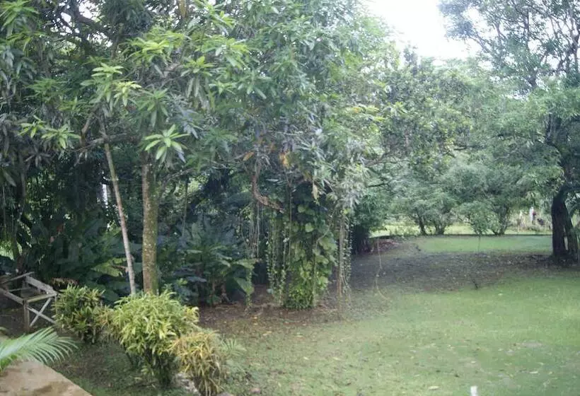 Fotos del hotel San San Tropez:  13