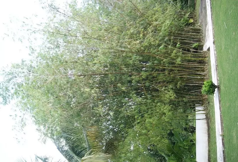 Fotos del hotel San San Tropez:  16