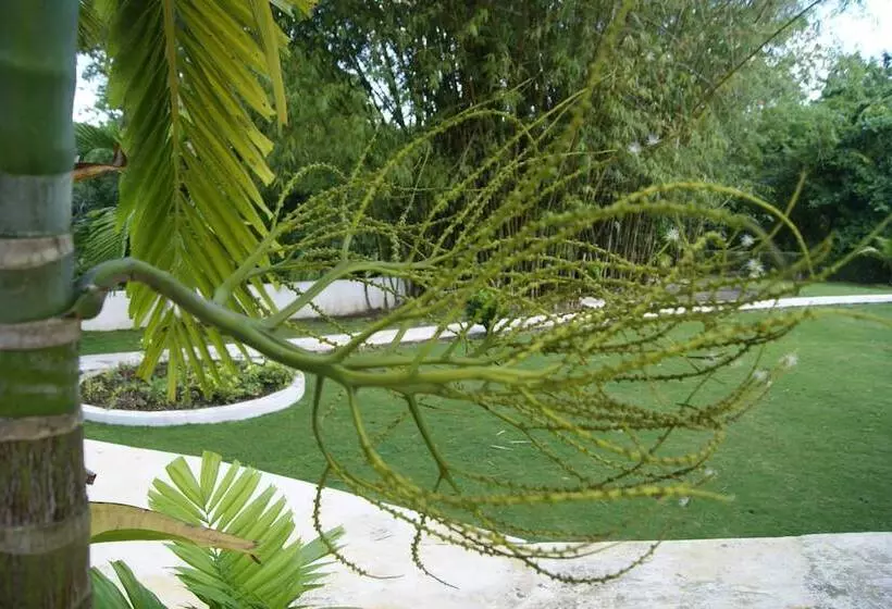 Fotos del hotel San San Tropez:  6