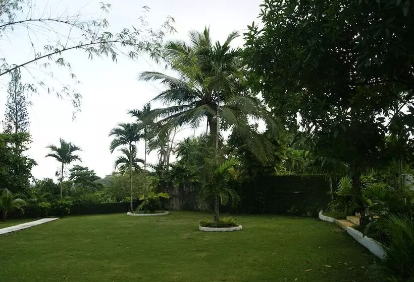 Fotos del hotel San San Tropez:  19