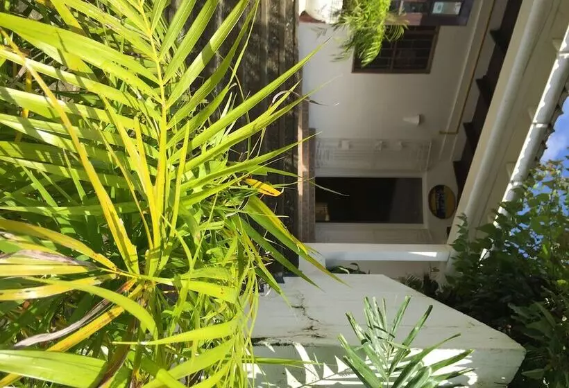 Fotos del hotel San San Tropez:  23