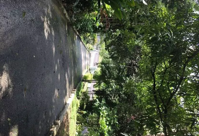 Fotos del hotel San San Tropez:  24