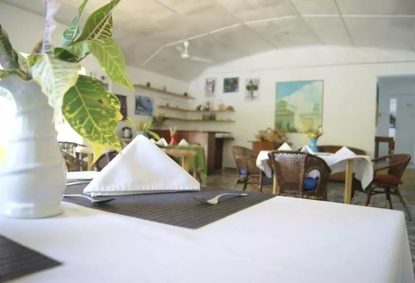 Fotos del hotel San San Tropez:  20