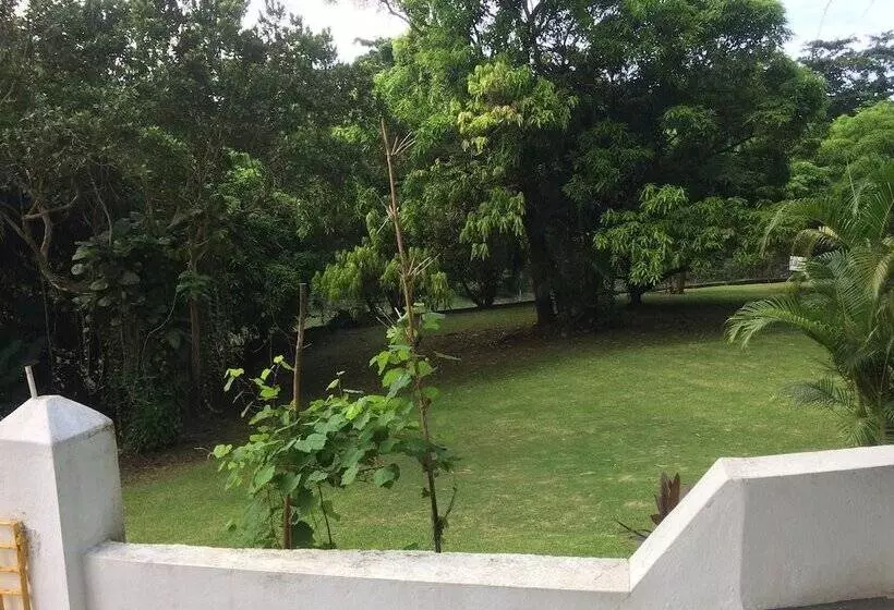 Fotos del hotel San San Tropez:  17