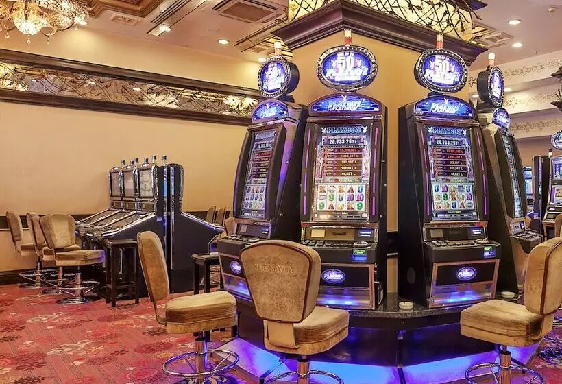 Fotos del hotel Savoy:  20