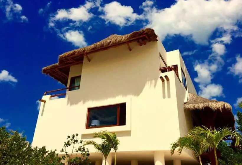 Fotos del hotel Holbox Casa Punta Coco - Adults Only:  22