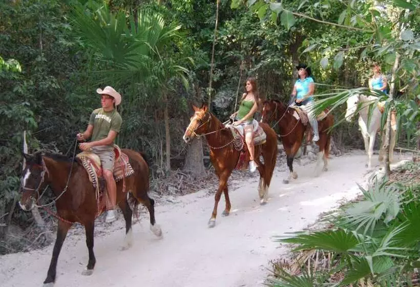 Fotos del hotel Holbox Casa Punta Coco - Adults Only:  18