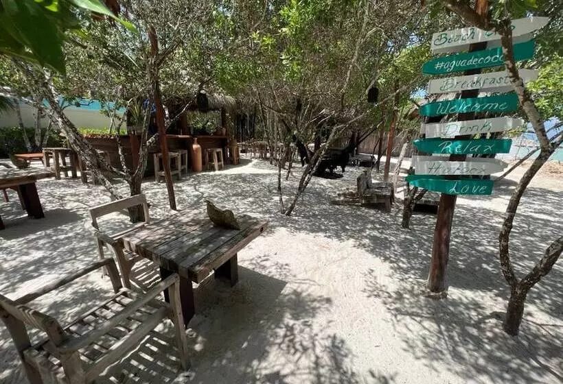 Fotos del hotel Holbox Casa Punta Coco - Adults Only:  7