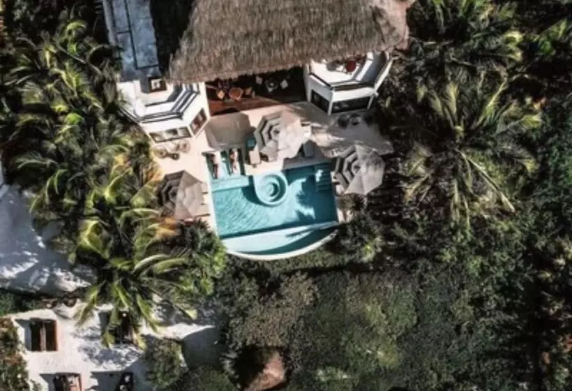 Fotos del hotel Holbox Casa Punta Coco - Adults Only:  12