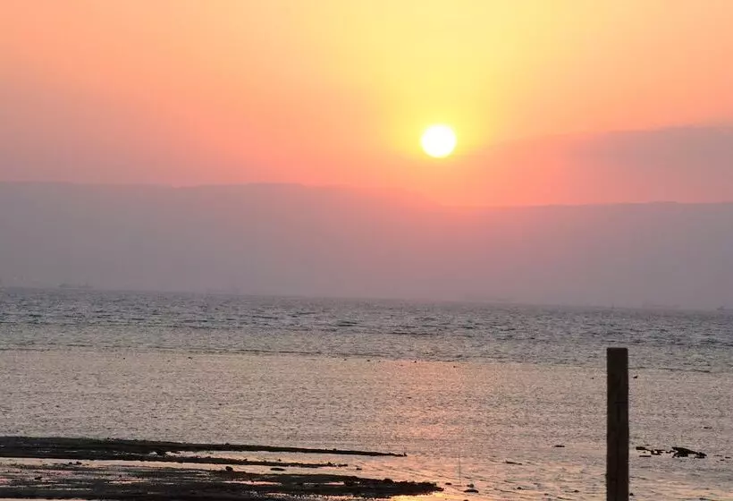 Fotos del hotel Mousa Coast Resort Cairo Beach:  6