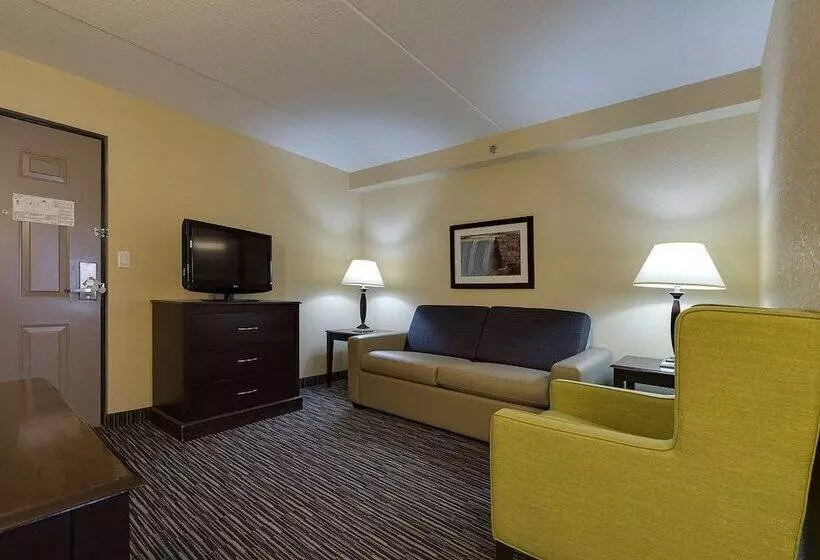 Fotos del hotel Country Inn & Suites By Radisson, Niagara Falls, On:  21