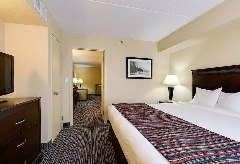 Fotos del hotel Country Inn & Suites By Radisson, Niagara Falls, On:  20